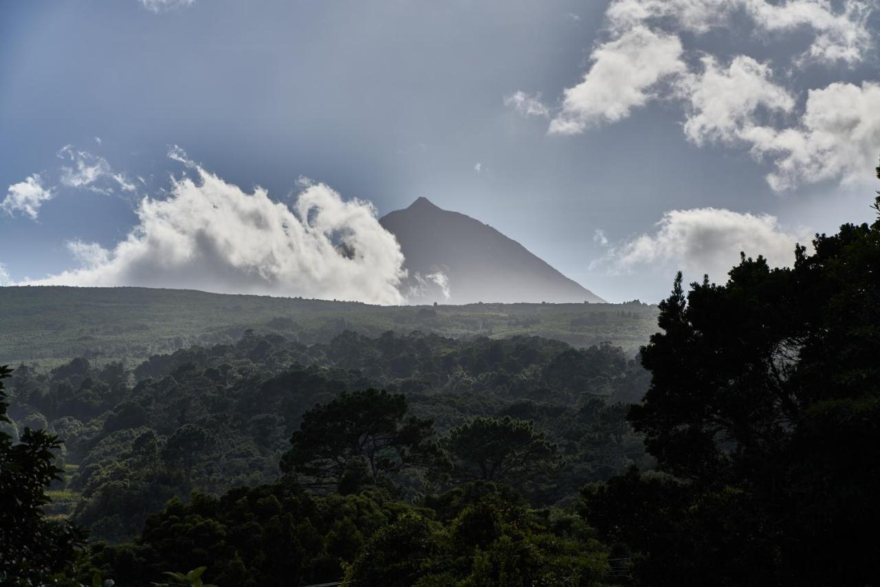 Villa 4 Seasons São Roque do Pico Dış mekan fotoğraf