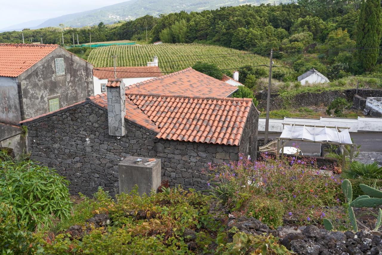 Villa 4 Seasons São Roque do Pico Dış mekan fotoğraf