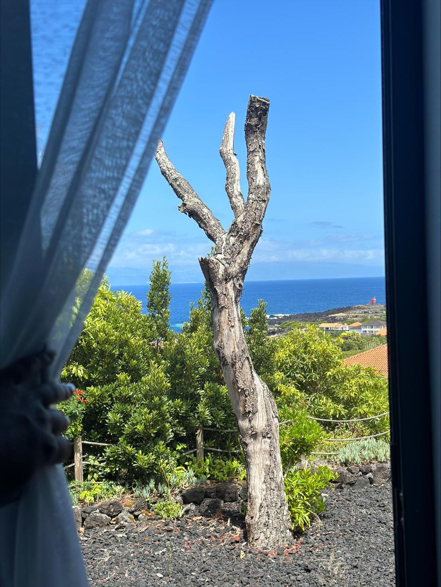 Villa 4 Seasons São Roque do Pico Dış mekan fotoğraf